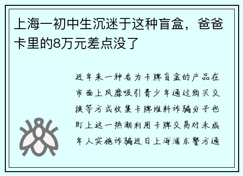 上海一初中生沉迷于这种盲盒，爸爸卡里的8万元差点没了